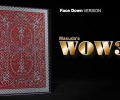 LOT WOW 3 : (2 X face UP) (1 X face Down) (1 X Blank) OFFICIEL