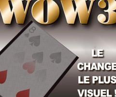LOT WOW 3 : (2 X face UP) (1 X face Down) (1 X Blank) OFFICIEL
