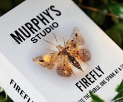 Firefly